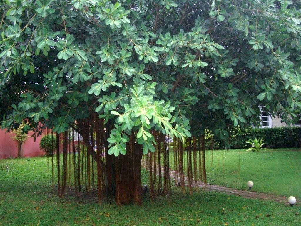 Pictory Garden Resort Sattahip Buitenkant foto